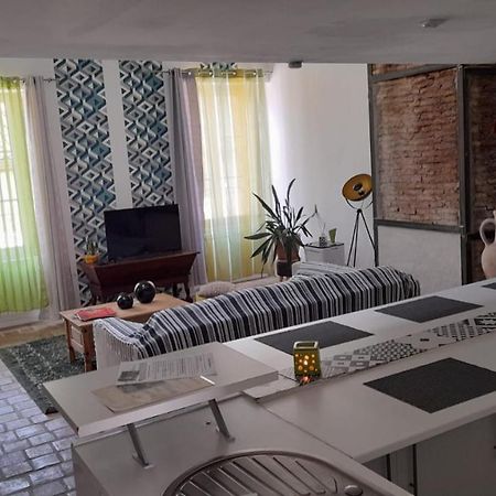 Tournus Castrum Romain- Loft 90M2 - 3 Etoiles - Petit Box Velo - 5Mn Autoroute 外观 照片